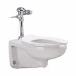 Manual Flush Valve Toilet System