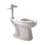 Manual Flush Valve Toilet System